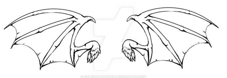 Крылья летучей мыши набросок