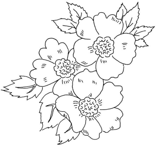 Трафареты цветов