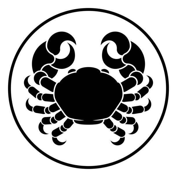 Знаки зодиака вектор