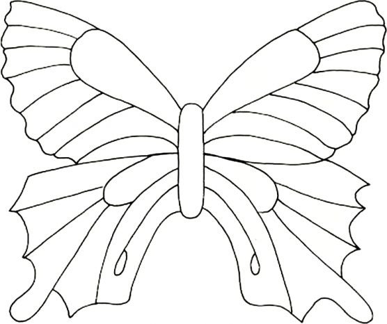Бабочка раскраска для детей
