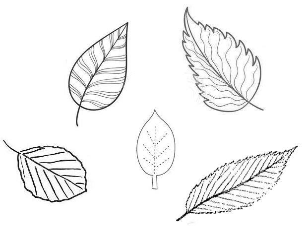 Трафареты "листья"