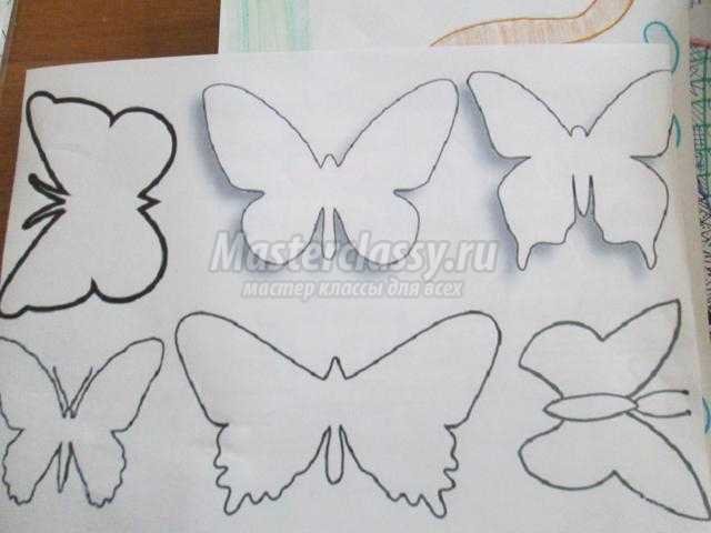 Бабочек из баклажки