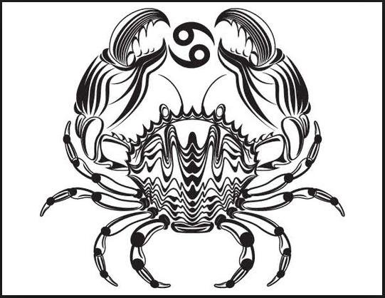 Знаки зодиака черно белые