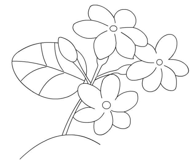 Цветы картинки раскраски