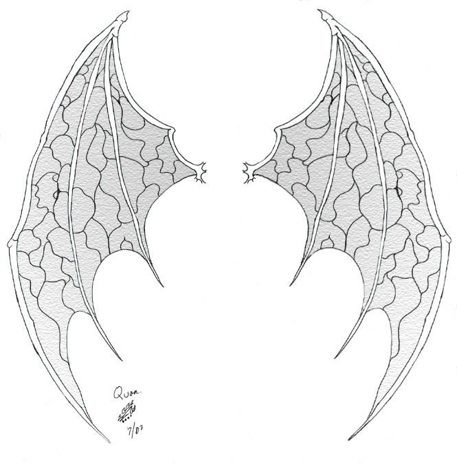 Крылья раскраска
