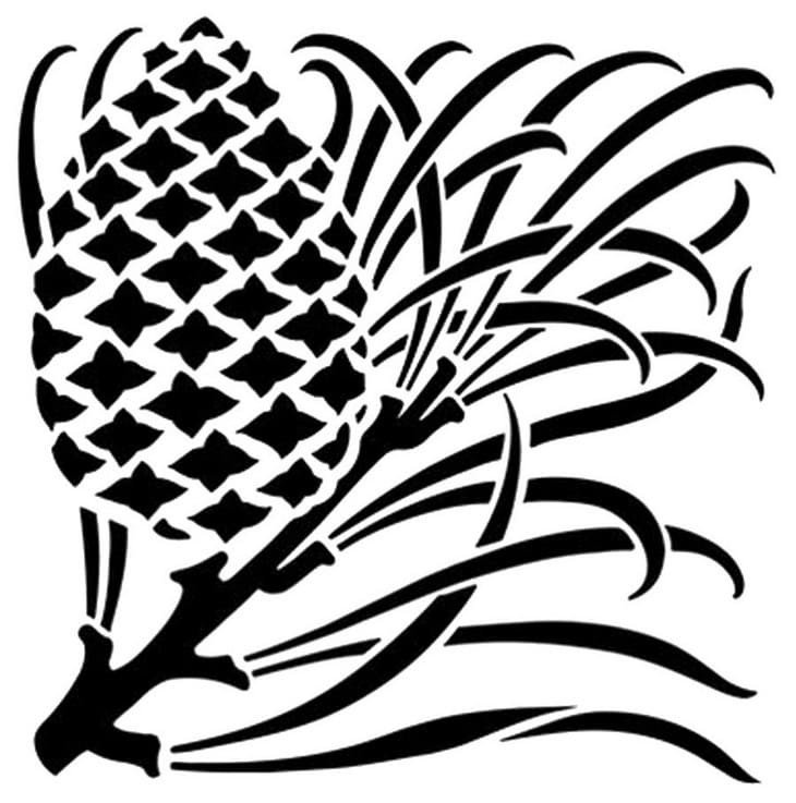 Орнамент шишки