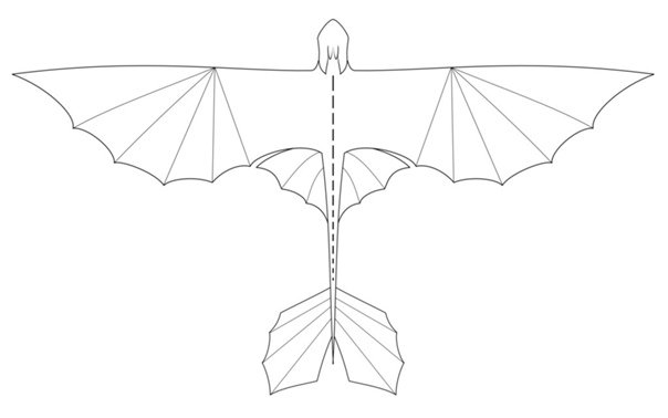 Крылья дракона