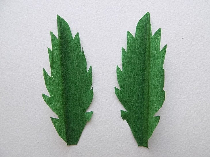 Листок ромашки