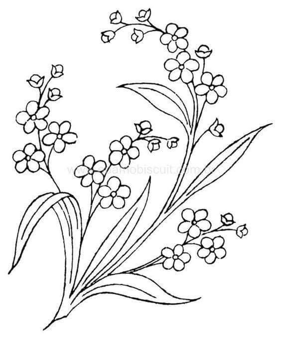 Незабудка карандашом