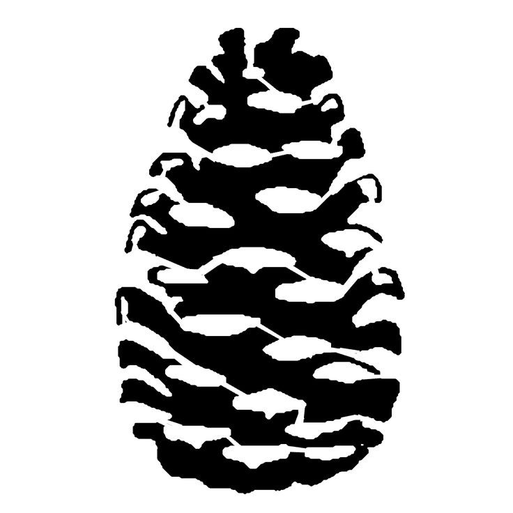 Шишка силуэт