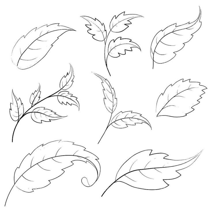 Трафареты листиков для цветов