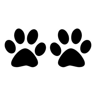 След лапы кошки