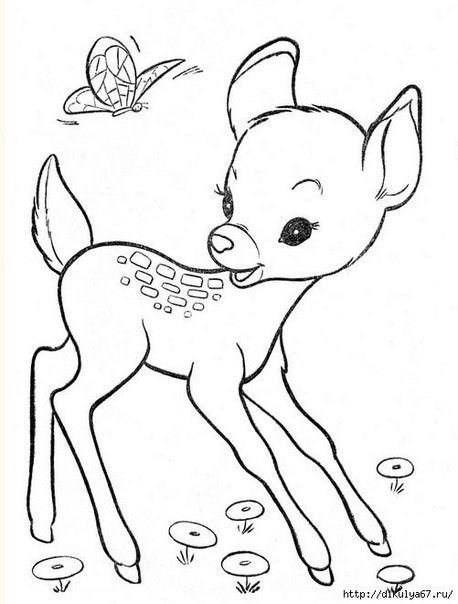 Олень раскраска для детей