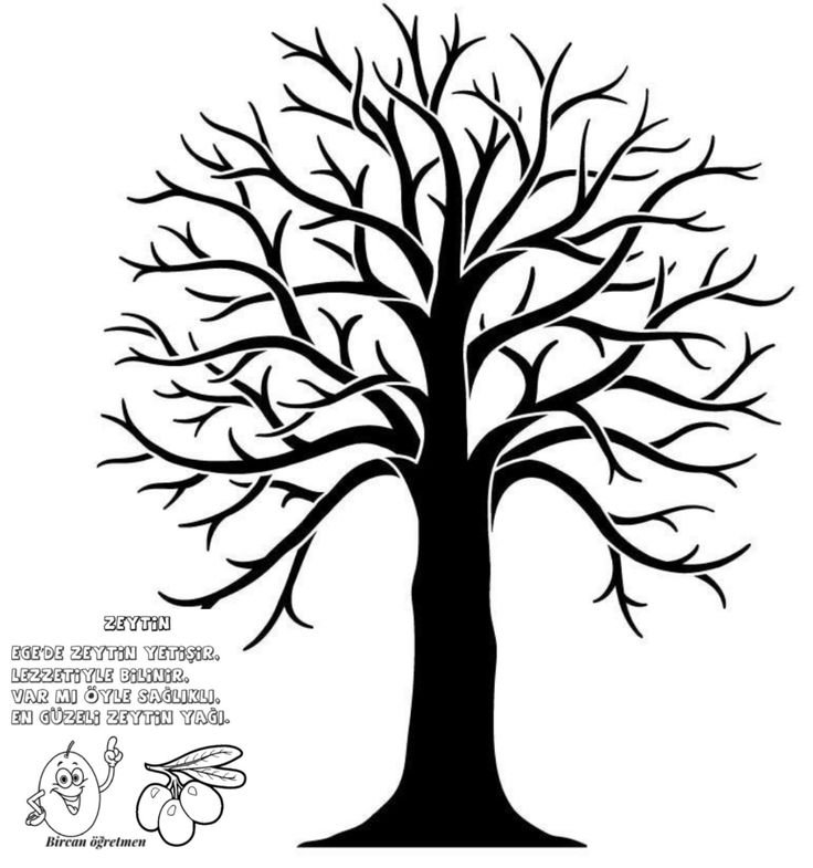 Дуб рисунок