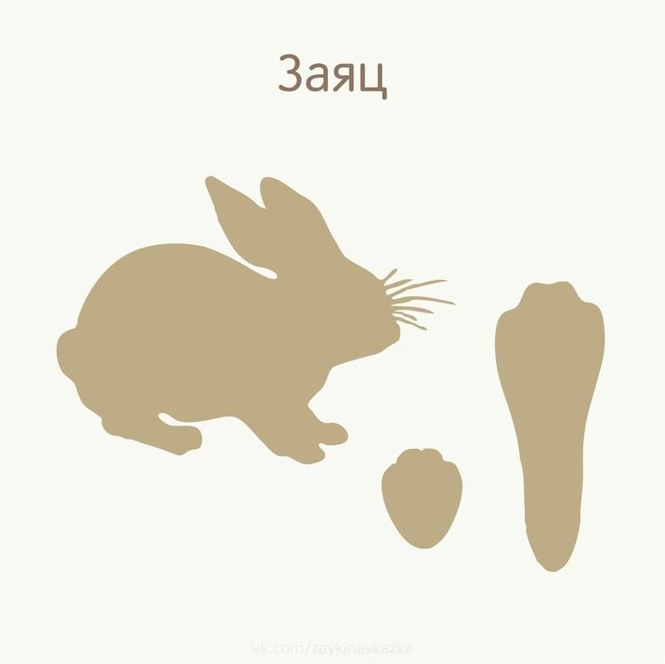 Следы зайца