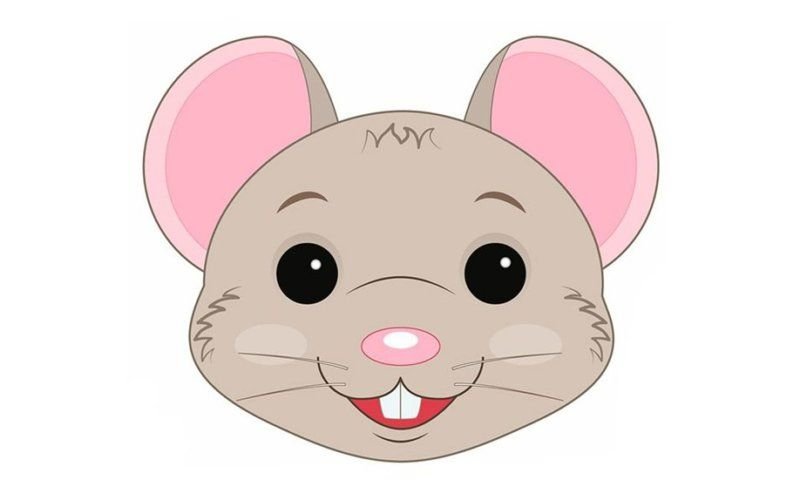 Мордочки животных