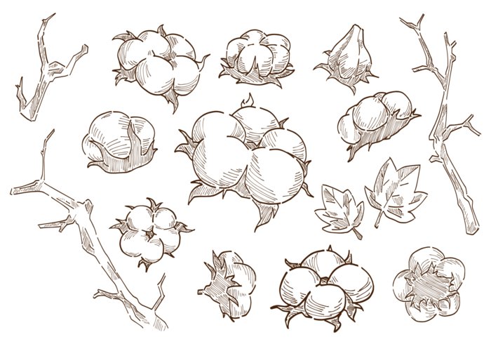 Хлопок вектор