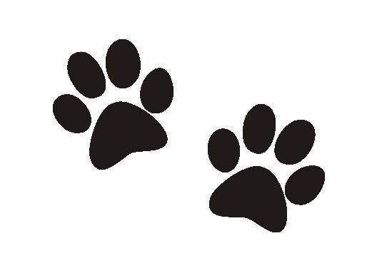 Трафарет лапки