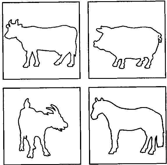 Контуры животных для детей
