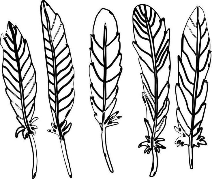 Перья индейцев раскраска