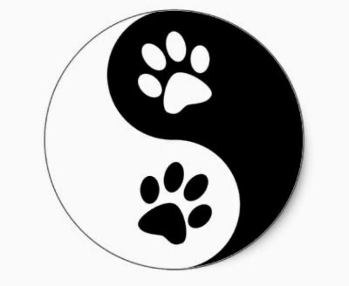 Лапка для срисовки