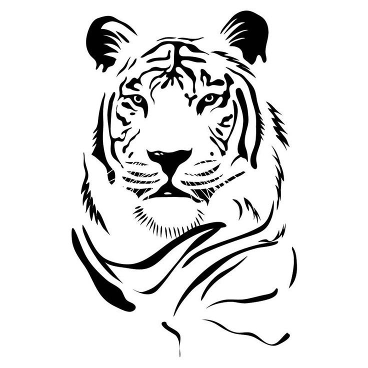 Очертания тигра