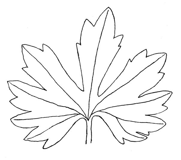 Трафарет листьев