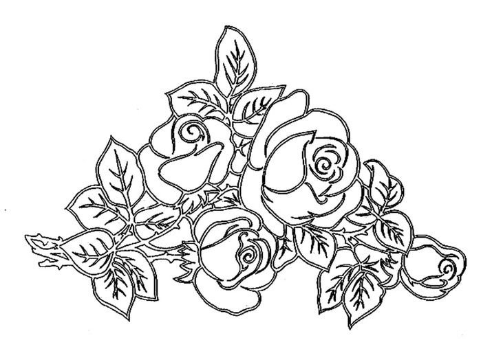 Рисунки для выжигания по дереву