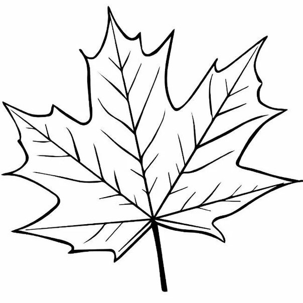 Трафареты "листья"