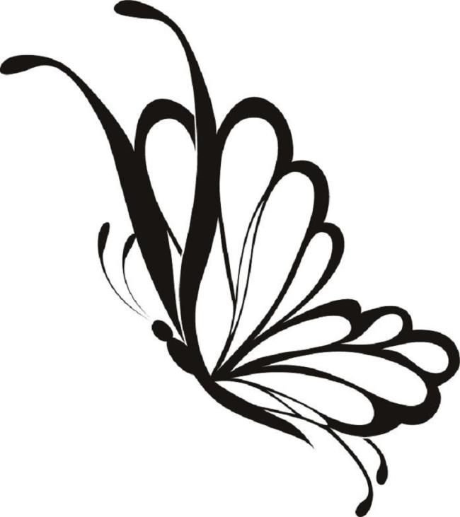 Бабочка контур