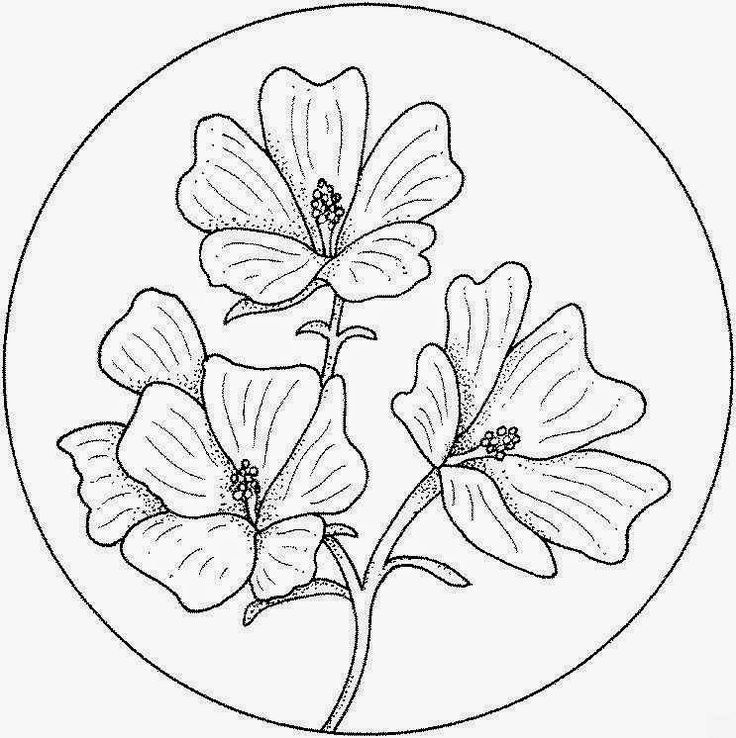 Трафарет цветов для росписи