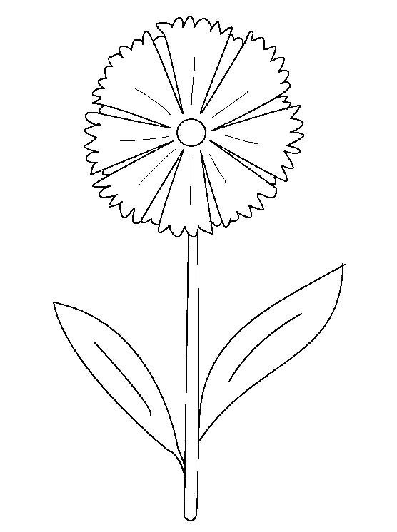 Василек раскраска для детей