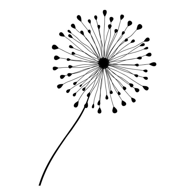 Одуванчик раскраска для детей