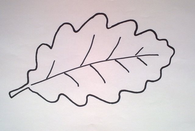 Листья шаблон