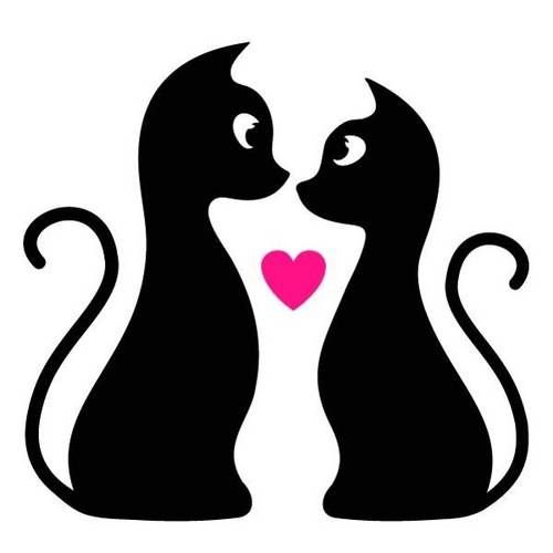 Влюбленные котики