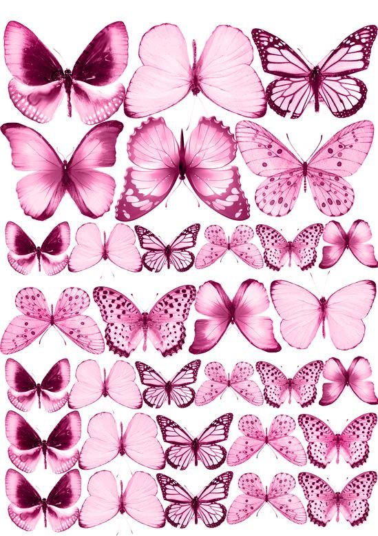 бабочки из вафельной бумаги