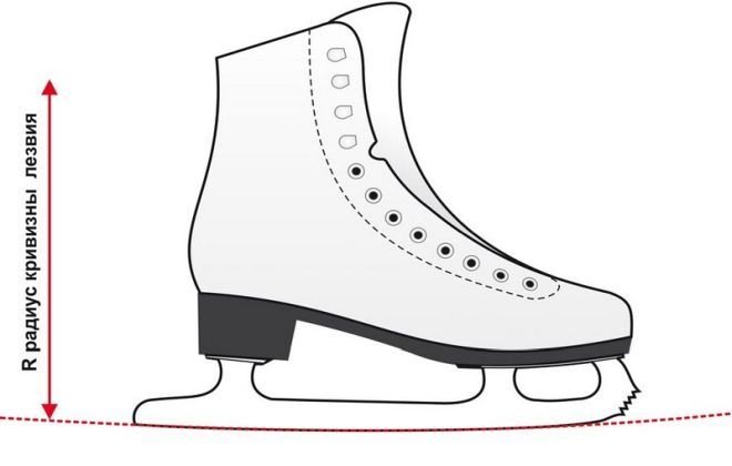 Строение коньков для фигурного катания
