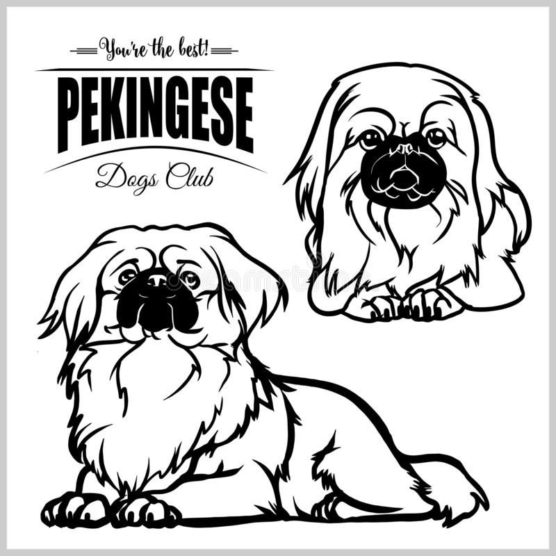 Пекинес эскиз