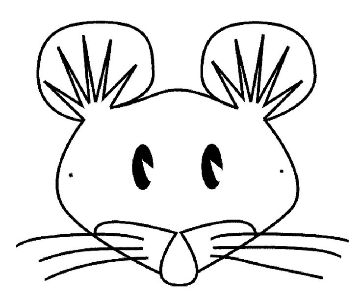 Мордашки животных