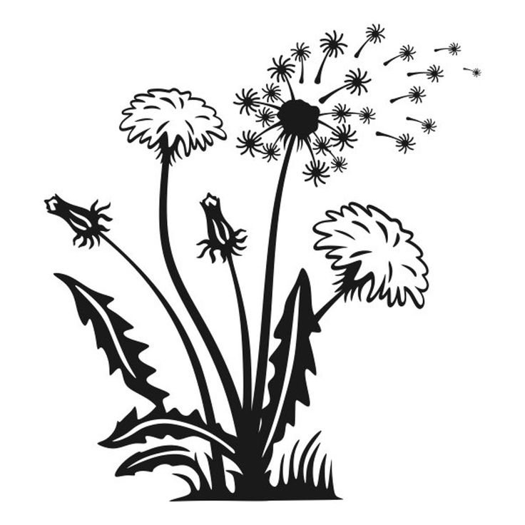 Силуэты цветов