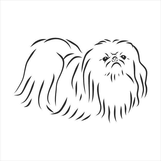 Пекинес вектор