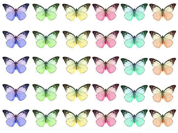 Торт «бабочки»