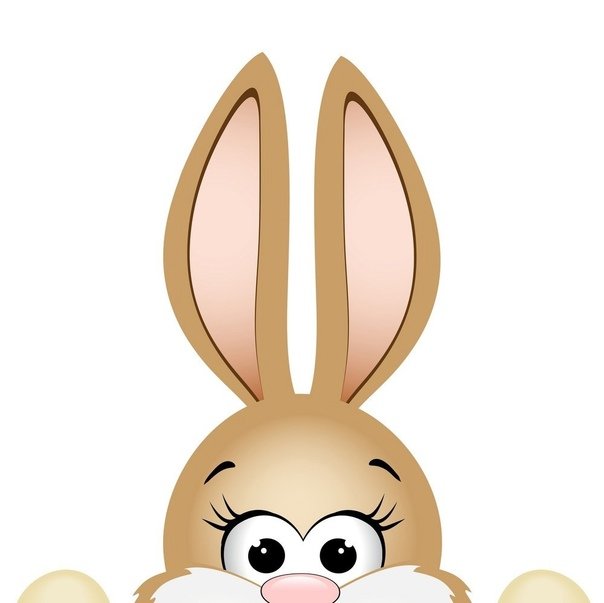 Мордочки зайца на окна