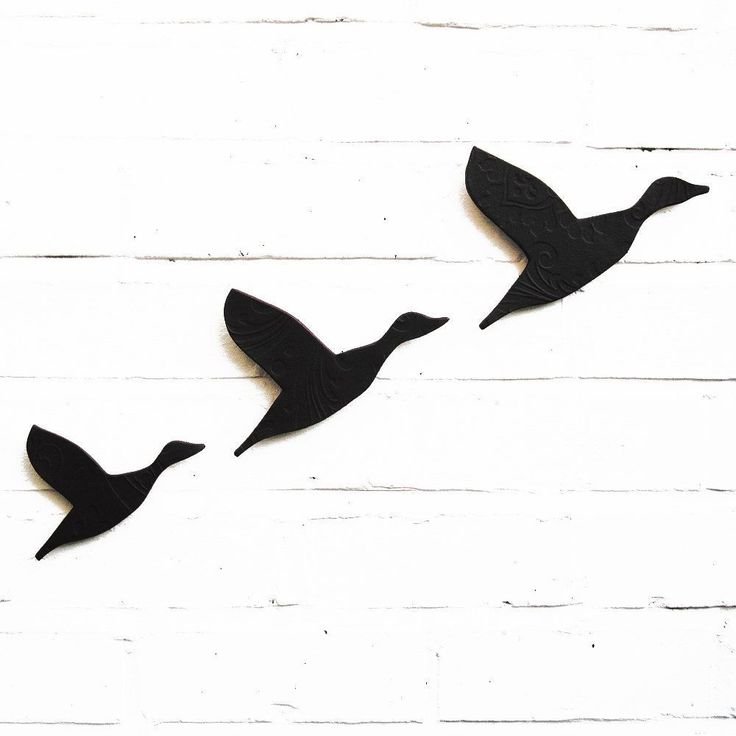 Трафареты птиц для декора