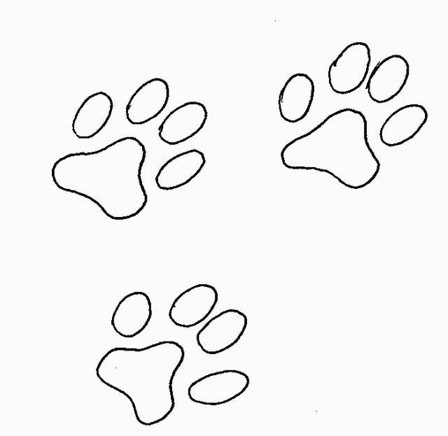 Трафарет лапки