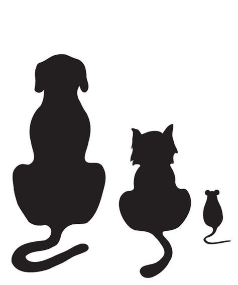 Силуэт кошки и собаки