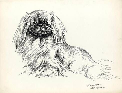 Тату Пекинес