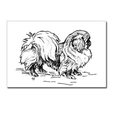 Раскраска антистресс Пекинес