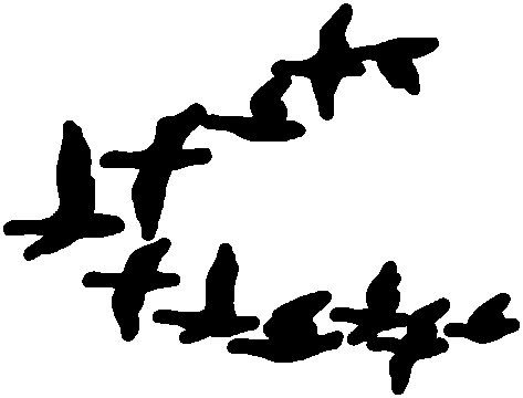 Силуэт улетающих птиц