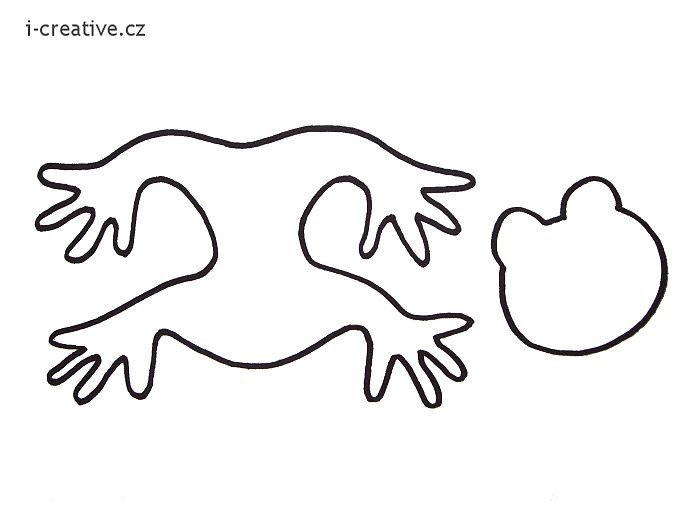 Лапы лягушки